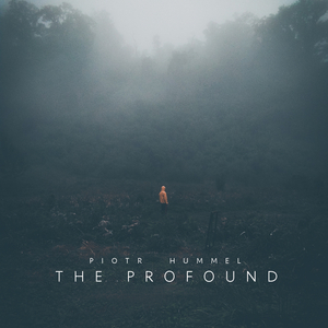 张筱雨最新动态消息
